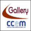 Gallery - CCEM, IAP